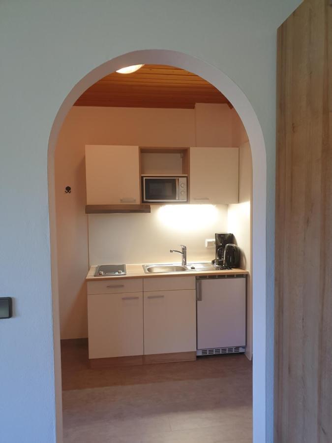 Villa Ahlhof à Schladming Extérieur photo